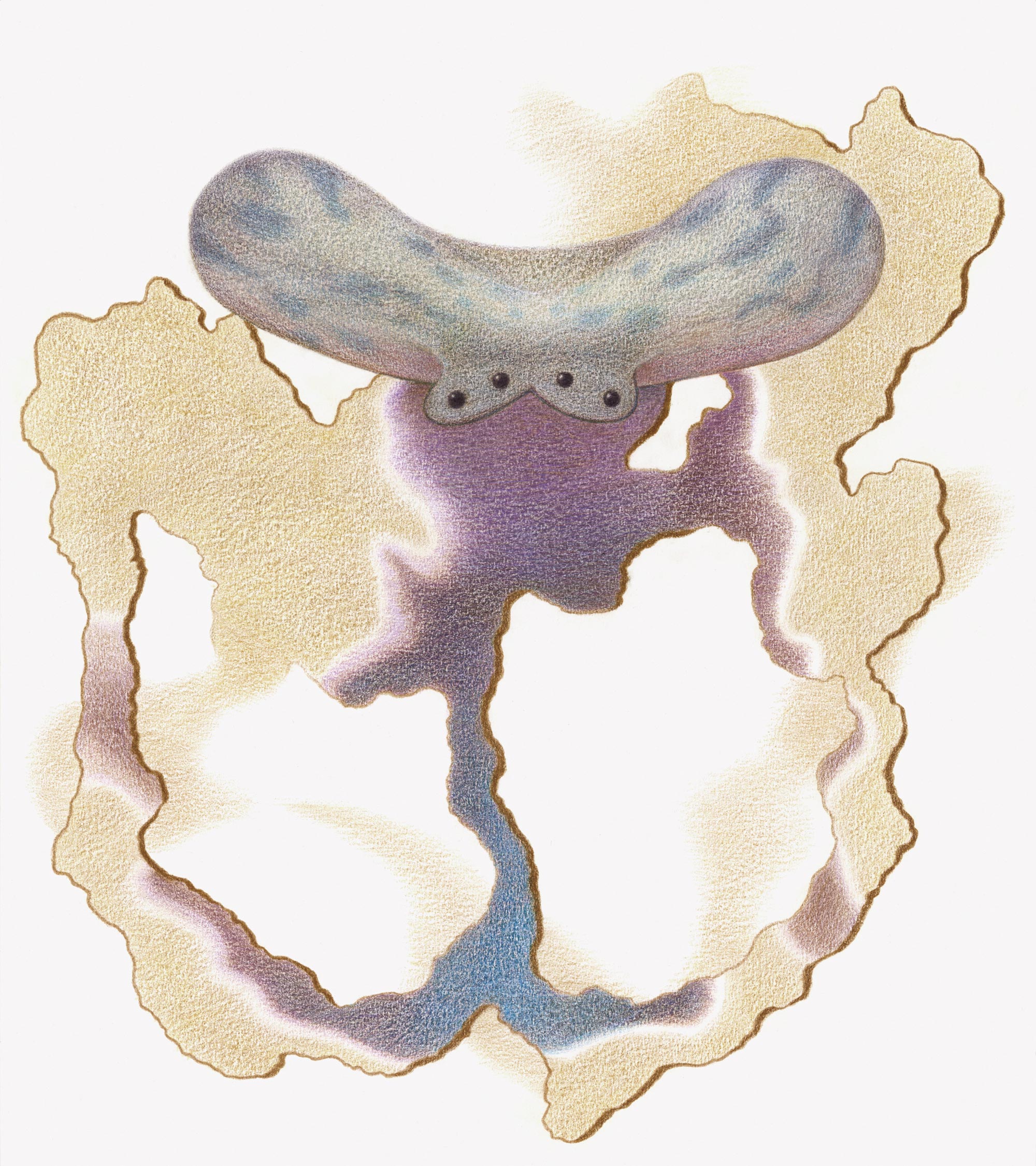 Life_Interface_16_2024