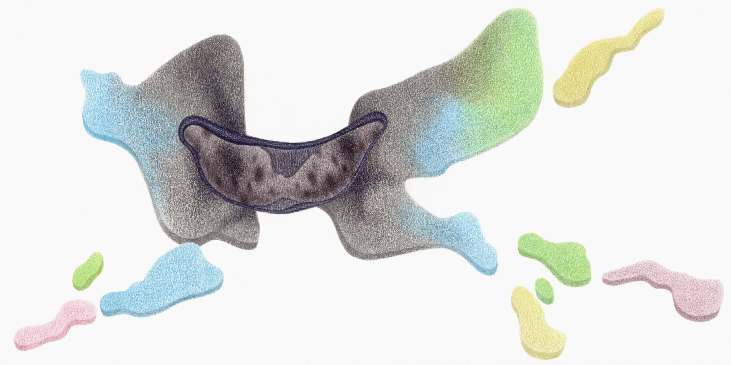 Life_Interface_21_2025