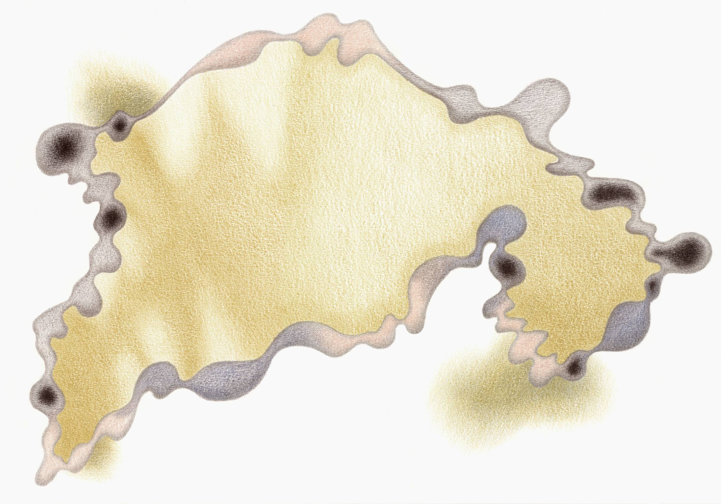 Life_Interface_26_2025