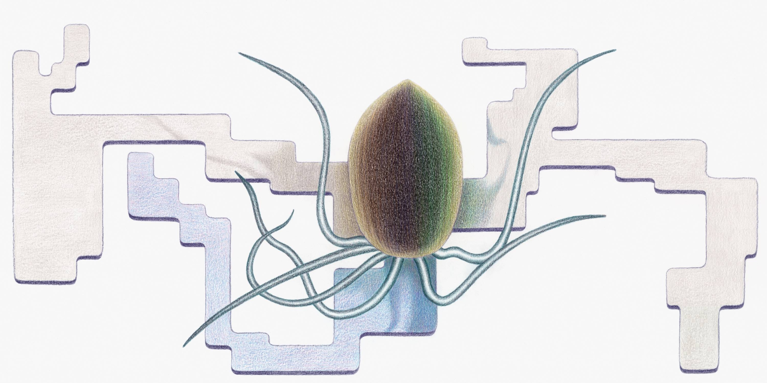 Life_Interface_2_Argist_Alaverdyan_2024